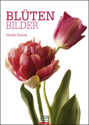 Blütenbilder Kalender 2020 von Pietrek,  Sibylle, Weingarten