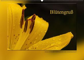 Blütengruß (Wandkalender 2018 DIN A2 quer) von Selzer,  Ulrich