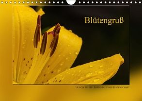 Blütengruß (Wandkalender 2018 DIN A4 quer) von Selzer,  Ulrich