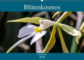 Blütenkosmos (Wandkalender 2018 DIN A2 quer) von Brehm - frankolor.de,  Frank