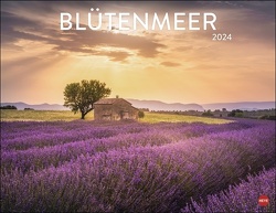 Blütenmeer Posterkalender 2024