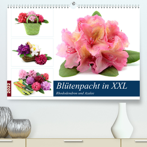 Blütenpracht in XXL – Rhododendron und Azalee (Premium, hochwertiger DIN A2 Wandkalender 2022, Kunstdruck in Hochglanz) von Frost,  Anja