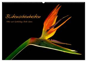Blütenschönheiten (Wandkalender 2024 DIN A2 quer), CALVENDO Monatskalender von Goerz,  Beate