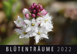 Blütenträume 2022 von Quelle & Meyer Verlag