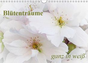 Blütenträume – ganz in weiß / CH-Version (Wandkalender 2019 DIN A4 quer) von Art-Motiva