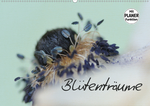 Blütenträume (Wandkalender 2021 DIN A2 quer) von Brausch,  Heidi