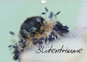 Blütenträume (Wandkalender 2023 DIN A4 quer) von Brausch,  Heidi