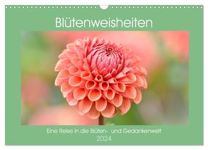 Blütenweisheiten (Wandkalender 2024 DIN A3 quer), CALVENDO Monatskalender von Zofia Brinker,  Aneta