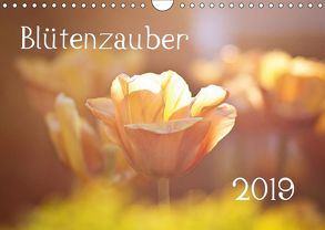 Blütenzauber 2019 (Wandkalender 2019 DIN A4 quer) von Petrich,  Anett