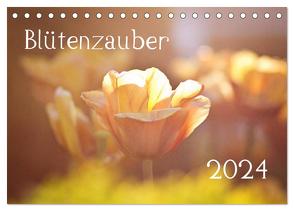 Blütenzauber 2024 (Tischkalender 2024 DIN A5 quer), CALVENDO Monatskalender von Petrich,  Anett