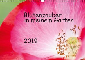 Blütenzauber in meinem Garten (Wandkalender 2019 DIN A3 quer) von JuSev