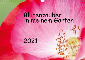 Blütenzauber in meinem Garten (Wandkalender 2021 DIN A3 quer) von JuSev