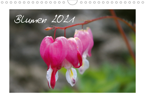 Blumen / 2021 (Wandkalender 2021 DIN A4 quer) von lajavi.com