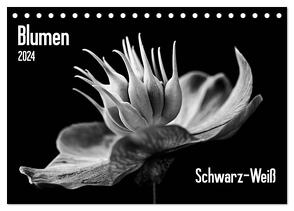 Blumen 2024, Schwarz-Weiß (Tischkalender 2024 DIN A5 quer), CALVENDO Monatskalender von Wurster,  Beate