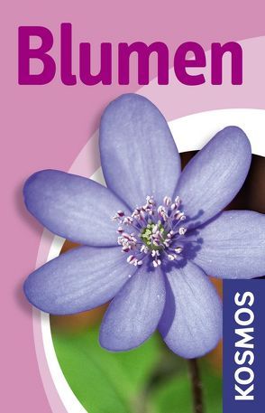 Blumen von Oftring,  Bärbel