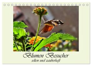 Blumen-Besucher – selten und zauberhaft (Tischkalender 2024 DIN A5 quer), CALVENDO Monatskalender von Djeric,  Dusanka