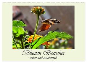 Blumen-Besucher – selten und zauberhaft (Wandkalender 2024 DIN A2 quer), CALVENDO Monatskalender von Djeric,  Dusanka