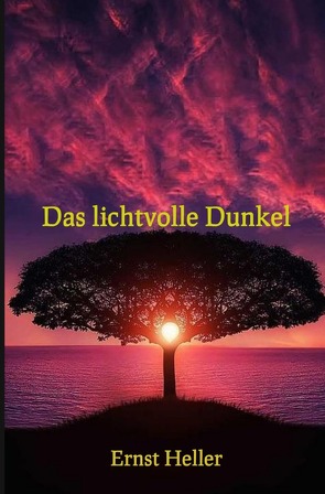 Blumen des neuen Morgens / Das lichtvolle Dunkel von Heller Amita/Schlemmer,  Ernst/Alfred Shogun