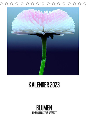 BLUMEN EINFACH IN SZENE GESETZT (Tischkalender 2023 DIN A5 hoch) von Jeschke,  Susanne