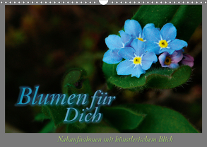 Blumen für Dich (Wandkalender 2020 DIN A3 quer) von Helwig,  Adalbert