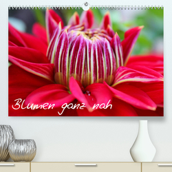 Blumen ganz nah (Premium, hochwertiger DIN A2 Wandkalender 2023, Kunstdruck in Hochglanz) von Kalemi,  Elena