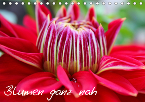 Blumen ganz nah (Tischkalender 2021 DIN A5 quer) von Kalemi,  Elena