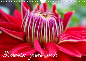 Blumen ganz nah (Wandkalender 2022 DIN A4 quer) von Kalemi,  Elena