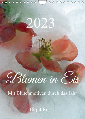 Blumen in Eis (Wandkalender 2023 DIN A4 hoch) von Rossi,  Birgit