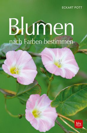 Blumen nach Farben bestimmen von Pott,  Eckart