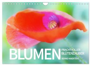 BLUMEN Prachtvoller Blütenzauber (Wandkalender 2024 DIN A4 quer), CALVENDO Monatskalender von Maertens,  Bernd