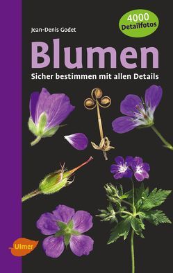 Blumen von Godet,  Jean-Denis