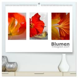 Blumen Trilogien (hochwertiger Premium Wandkalender 2024 DIN A2 quer), Kunstdruck in Hochglanz von calmbacher,  Christiane