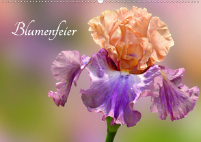 Blumenfeier (Wandkalender 2020 DIN A2 quer) von Livingvisions