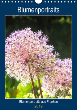 Blumenportraits (Wandkalender 2019 DIN A4 hoch) von Ilieva,  Ivanka