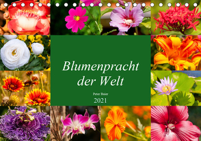 Blumenpracht der Welt (Tischkalender 2021 DIN A5 quer) von Baier,  Peter