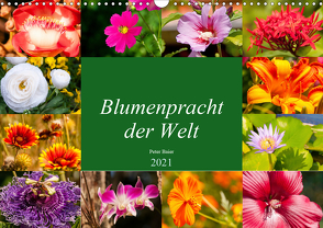 Blumenpracht der Welt (Wandkalender 2021 DIN A3 quer) von Baier,  Peter