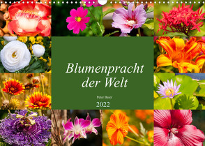 Blumenpracht der Welt (Wandkalender 2022 DIN A3 quer) von Baier,  Peter