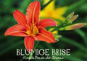 Blumige Brise – Visuelle Poesie der Blumen (Tischaufsteller DIN A5 quer) von Photon,  Vronja