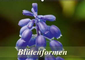 Blütenformen (Wandkalender immerwährend DIN A2 quer) von Schumann,  Bianca