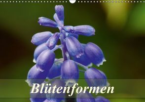 Blütenformen (Wandkalender immerwährend DIN A3 quer) von Schumann,  Bianca