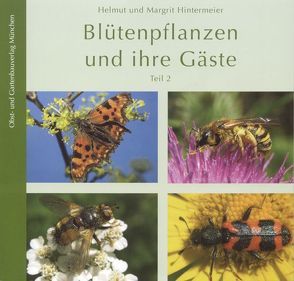 Blütenpflanzen und ihre Gäste – Teil 2 von Hintermeier,  Helmut, Hintermeier,  Margit