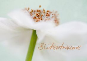 Blütenträume (Posterbuch DIN A3 quer) von Buch,  Monika