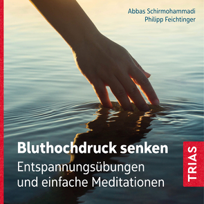 Bluthochdruck senken von Feichtinger,  Philipp, Schirmohammadi,  Abbas