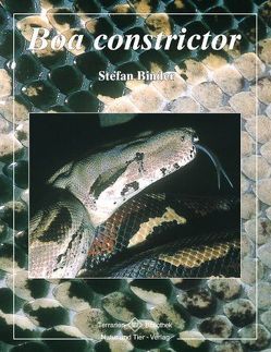 Boa constrictor von Binder,  Stefan