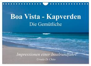 Boa Vista – Kapverden. Die Gemütliche (Wandkalender 2024 DIN A4 quer), CALVENDO Monatskalender von Di Chito,  Ursula