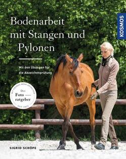 Bodenarbeit mit Stangen und Pylonen von Schöpe,  Sigrid