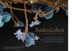 BodenLeben – Erfahrungsweg ins Innere der Erde von Prof. Dr. h.c. mult. Gerzabek,  Martin, Prof. Dr. Haszprunar,  Gerhard, Prof. Dr. Scholten,  Thomas, Prof. Dr. Weiger,  Hubert, Voigt,  Beatrice