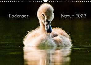 Bodensee Natur (Wandkalender 2022 DIN A3 quer) von Jaenecke,  Sven