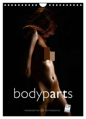 bodyparts (Wandkalender 2024 DIN A4 hoch), CALVENDO Monatskalender von H. Warkentin,  Karl