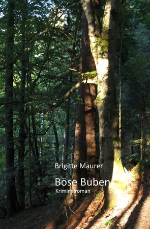 Böse Buben von Maurer,  Brigitte
